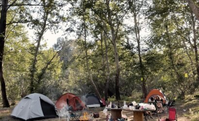 Serene camping site amidst tall trees in Karaisalı, Turkey. Perfect outdoor retreat.